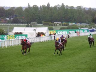 Race 5 i.jpg