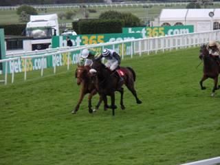 Race 6 i.jpg
