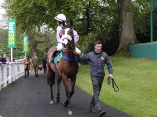 Race 1 s Equus Amadeus.jpg