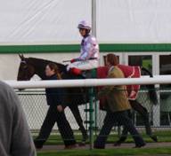 Towcester - 08 Oct 08 thumbnail 3.jpg