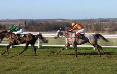 Towcester 18 Jan 09 red3.jpg
