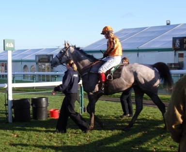 Towcester 18 Jan 09 red4.jpg