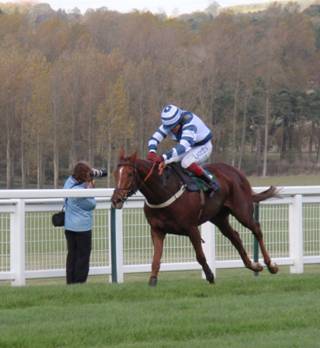 Towcester 25 Oct a red.jpg