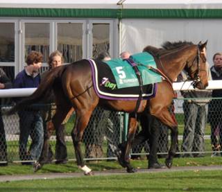 Towcester 25 Oct j red.jpg