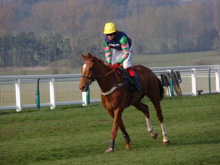 Towcester 28 March 2011 1000 z9a r.jpg