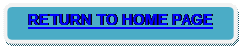 Rounded Rectangle: RETURN TO HOME PAGE