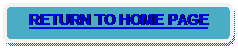 Rounded Rectangle: RETURN TO HOME PAGE