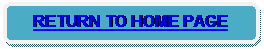 Rounded Rectangle: RETURN TO HOME PAGE 