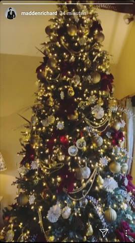 Image may contain: christmas tree