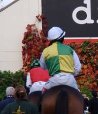 Crop 3 Kempton 19 Oct 08 thumbnail.jpg