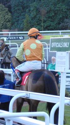 Sandown Park 31 jan 09 red 15.jpg