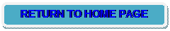 Rounded Rectangle: RETURN TO HOME PAGE
