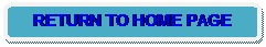 Rounded Rectangle: RETURN TO HOME PAGE